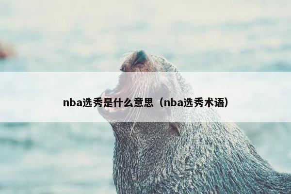 nba选秀是什么意思（nba选秀术语）