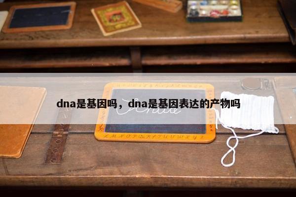 dna是基因吗，dna是基因表达的产物吗