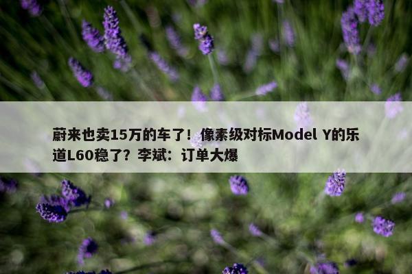 蔚来也卖15万的车了！像素级对标Model Y的乐道L60稳了？李斌：订单大爆