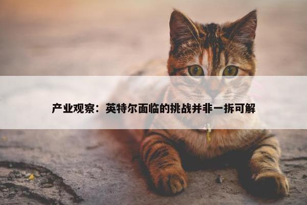 产业观察：英特尔面临的挑战并非一拆可解