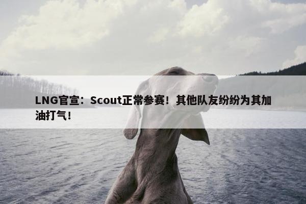 LNG官宣：Scout正常参赛！其他队友纷纷为其加油打气！