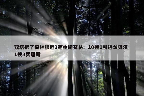 双塔拆了森林狼近2笔重磅交易：10换1引进戈贝尔 1换3卖唐斯