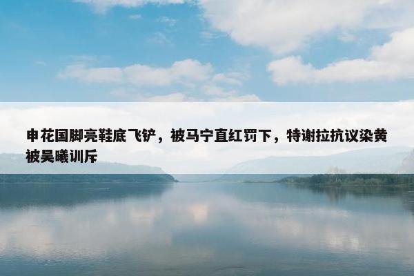 申花国脚亮鞋底飞铲，被马宁直红罚下，特谢拉抗议染黄被吴曦训斥