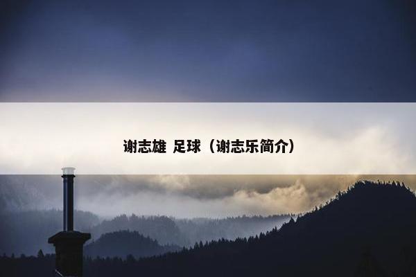 谢志雄 足球（谢志乐简介）