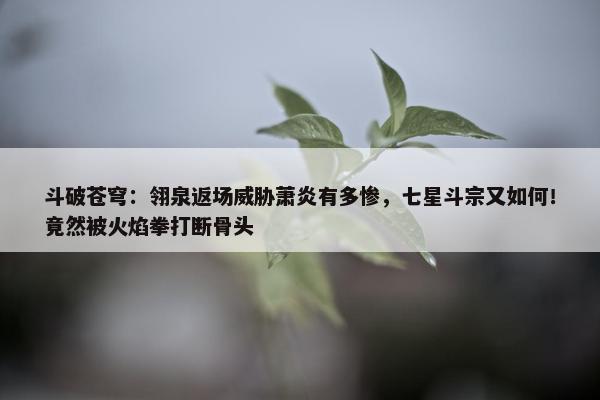 斗破苍穹：翎泉返场威胁萧炎有多惨，七星斗宗又如何！竟然被火焰拳打断骨头