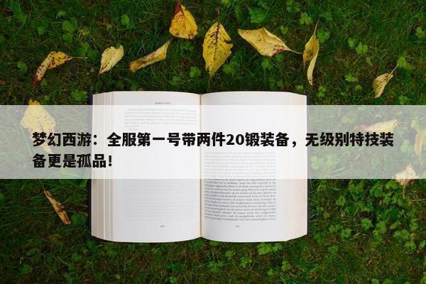 梦幻西游：全服第一号带两件20锻装备，无级别特技装备更是孤品！