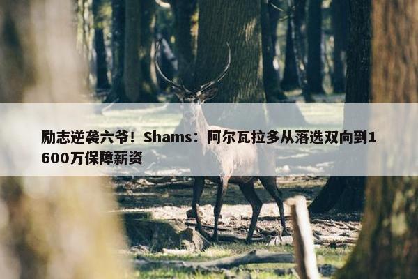 励志逆袭六爷！Shams：阿尔瓦拉多从落选双向到1600万保障薪资