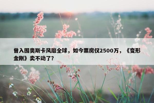 曾入围奥斯卡风靡全球，如今票房仅2500万，《变形金刚》卖不动了？