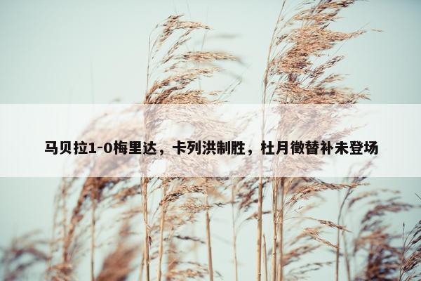 马贝拉1-0梅里达，卡列洪制胜，杜月徵替补未登场