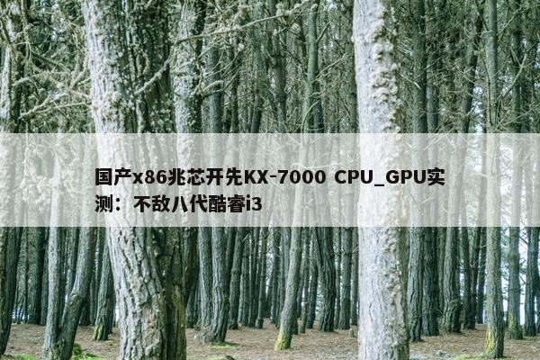 国产x86兆芯开先KX-7000 CPU_GPU实测：不敌八代酷睿i3