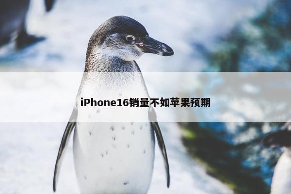 iPhone16销量不如苹果预期