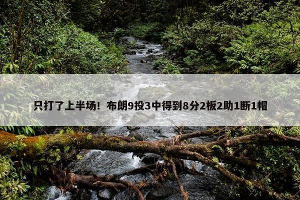 只打了上半场！布朗9投3中得到8分2板2助1断1帽