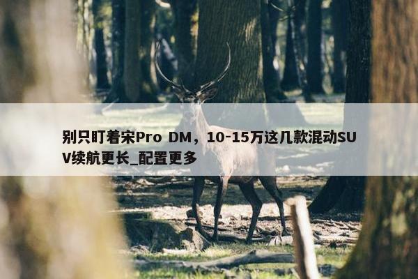 别只盯着宋Pro DM，10-15万这几款混动SUV续航更长_配置更多