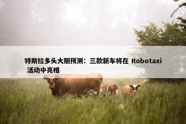 特斯拉多头大胆预测：三款新车将在 Robotaxi 活动中亮相