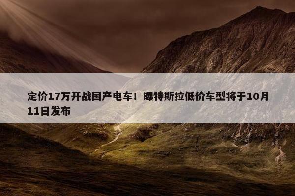 定价17万开战国产电车！曝特斯拉低价车型将于10月11日发布