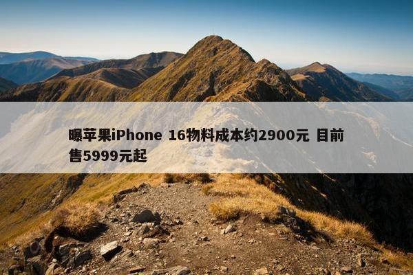 曝苹果iPhone 16物料成本约2900元 目前售5999元起