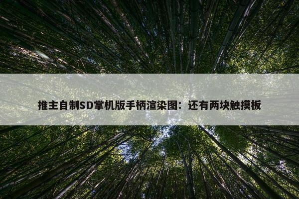 推主自制SD掌机版手柄渲染图：还有两块触摸板