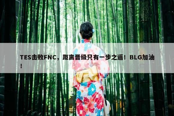 TES击败FNC，距离晋级只有一步之遥！BLG加油！