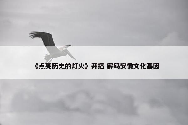 《点亮历史的灯火》开播 解码安徽文化基因