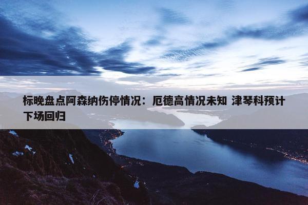 标晚盘点阿森纳伤停情况：厄德高情况未知 津琴科预计下场回归