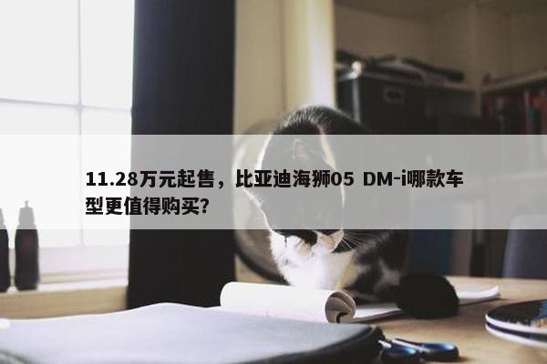 11.28万元起售，比亚迪海狮05 DM-i哪款车型更值得购买？