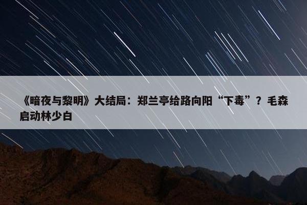 《暗夜与黎明》大结局：郑兰亭给路向阳“下毒”？毛森启动林少白