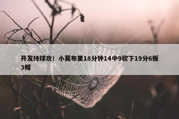 开发持球攻！小莫布里18分钟14中9砍下19分6板3帽