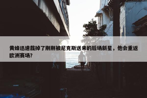 黄蜂迅速裁掉了刚刚被尼克斯送来的后场新星，他会重返欧洲赛场？