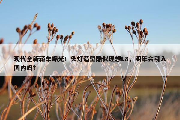 现代全新轿车曝光！头灯造型酷似理想L8，明年会引入国内吗？