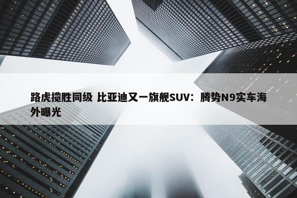 路虎揽胜同级 比亚迪又一旗舰SUV：腾势N9实车海外曝光