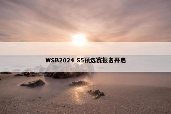 WSB2024 S5预选赛报名开启