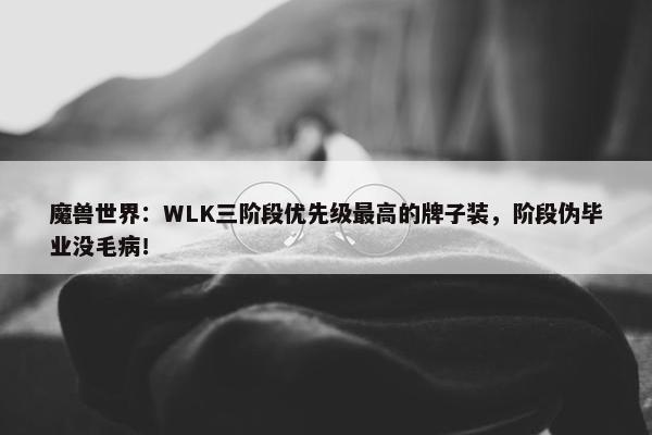 魔兽世界：WLK三阶段优先级最高的牌子装，阶段伪毕业没毛病！