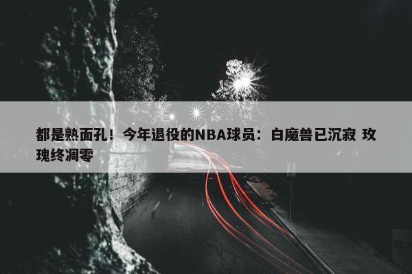 都是熟面孔！今年退役的NBA球员：白魔兽已沉寂 玫瑰终凋零