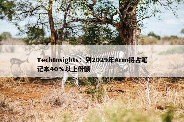 TechInsights：到2029年Arm将占笔记本40%以上份额