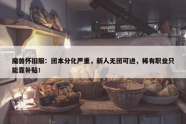 魔兽怀旧服：团本分化严重，新人无团可进，稀有职业只能靠补贴！