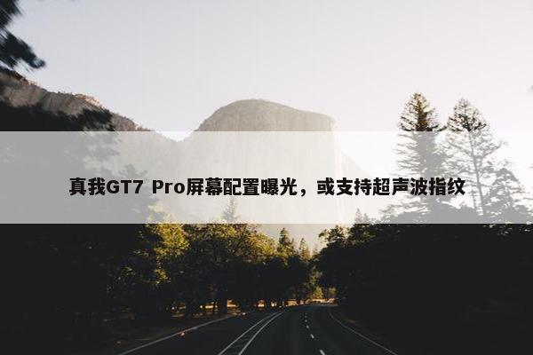 真我GT7 Pro屏幕配置曝光，或支持超声波指纹