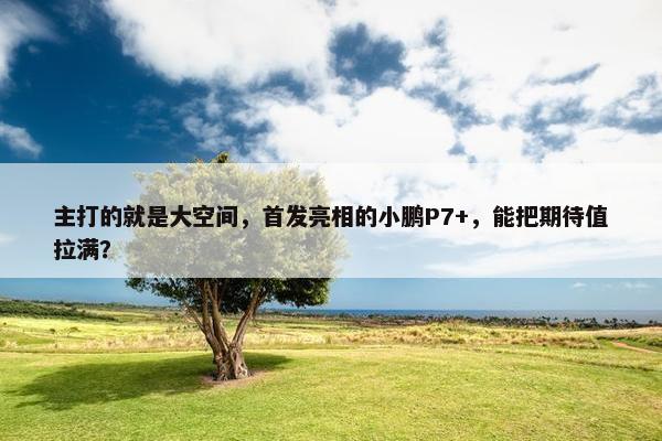 主打的就是大空间，首发亮相的小鹏P7+，能把期待值拉满？