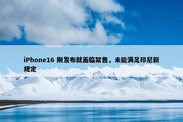 iPhone16 刚发布就面临禁售，未能满足印尼新规定