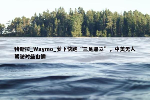 特斯拉_Waymo_萝卜快跑“三足鼎立”，中美无人驾驶对垒山巅