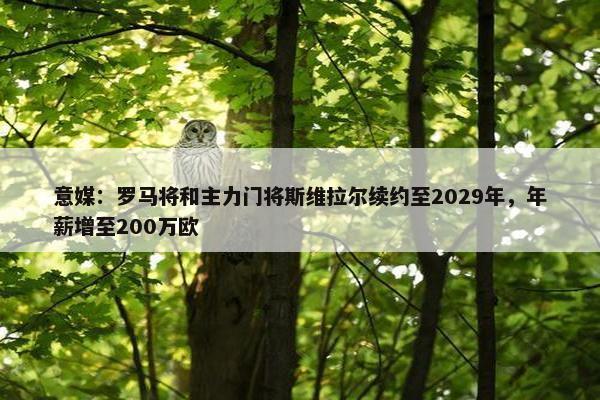 意媒：罗马将和主力门将斯维拉尔续约至2029年，年薪增至200万欧