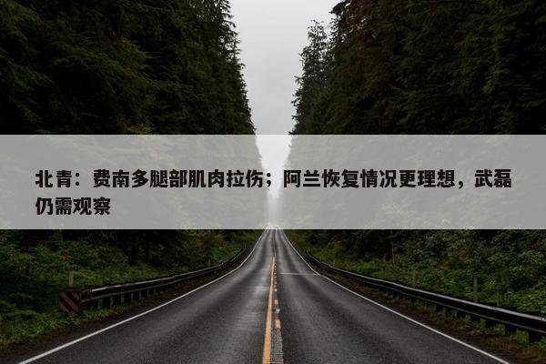 北青：费南多腿部肌肉拉伤；阿兰恢复情况更理想，武磊仍需观察