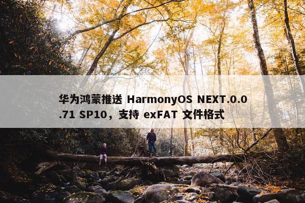 华为鸿蒙推送 HarmonyOS NEXT.0.0.71 SP10，支持 exFAT 文件格式