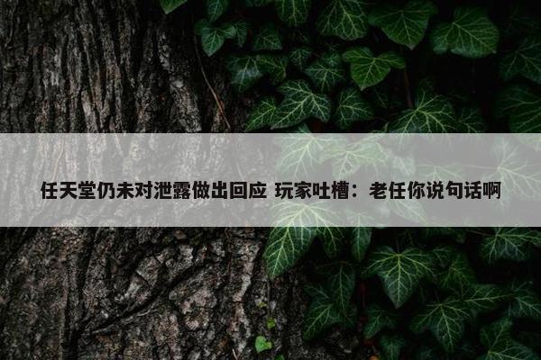 任天堂仍未对泄露做出回应 玩家吐槽：老任你说句话啊