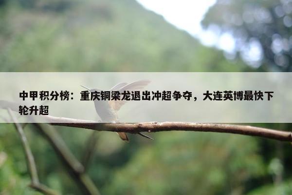 中甲积分榜：重庆铜梁龙退出冲超争夺，大连英博最快下轮升超