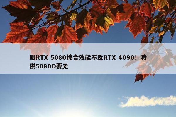 曝RTX 5080综合效能不及RTX 4090！特供5080D要无