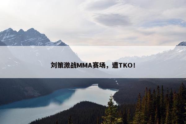 刘策激战MMA赛场，遭TKO！