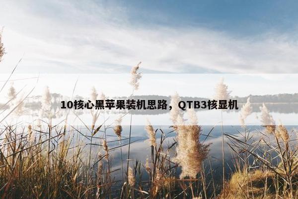 10核心黑苹果装机思路，QTB3核显机