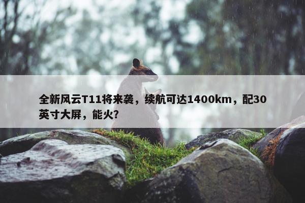 全新风云T11将来袭，续航可达1400km，配30英寸大屏，能火？