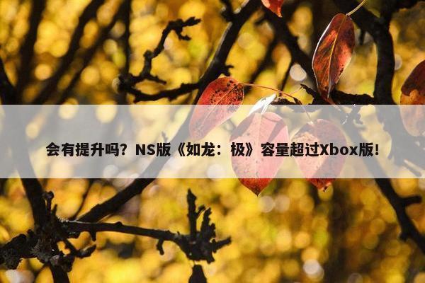 会有提升吗？NS版《如龙：极》容量超过Xbox版！