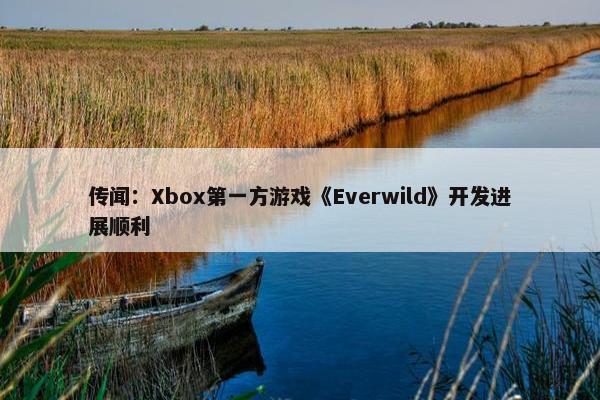 传闻：Xbox第一方游戏《Everwild》开发进展顺利